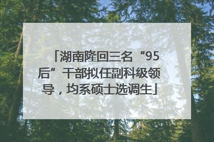 湖南隆回三名“95后”干部拟任副科级领导，均系硕士选调生