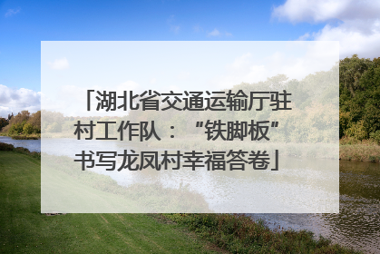 湖北省交通运输厅驻村工作队：“铁脚板”书写龙凤村幸福答卷