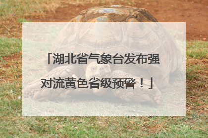 湖北省气象台发布强对流黄色省级预警！