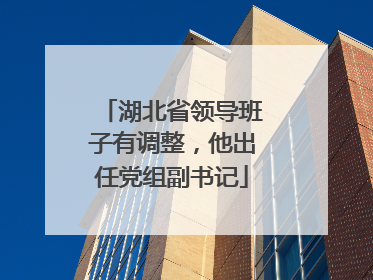 湖北省领导班子有调整，他出任党组副书记