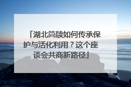 湖北简牍如何传承保护与活化利用？这个座谈会共商新路径