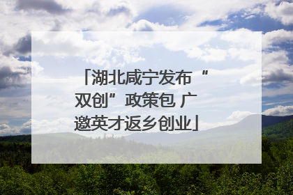 湖北咸宁发布“双创”政策包 广邀英才返乡创业