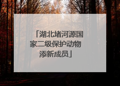 湖北堵河源国家二级保护动物添新成员