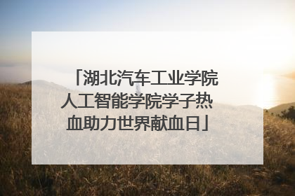 湖北汽车工业学院人工智能学院学子热血助力世界献血日