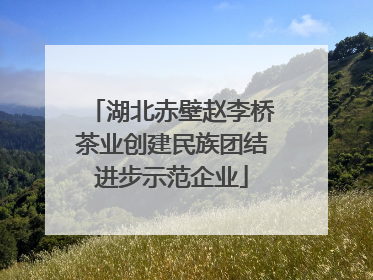 湖北赤壁赵李桥茶业创建民族团结进步示范企业