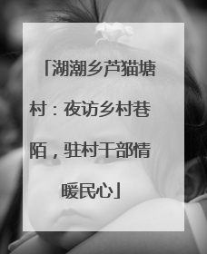 湖潮乡芦猫塘村：夜访乡村巷陌，驻村干部情暖民心