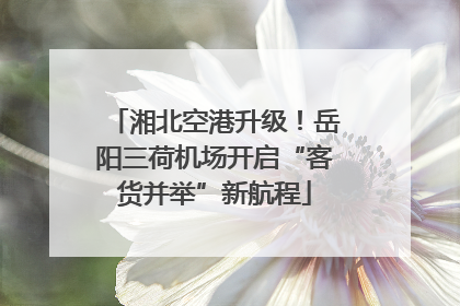 湘北空港升级！岳阳三荷机场开启“客货并举”新航程