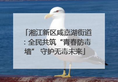 湘江新区咸嘉湖街道：全民共筑“青春防毒墙” 守护无毒未来