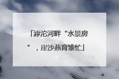 滹沱河畔“水景房”，崖沙燕育雏忙