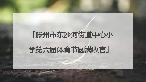 滕州市东沙河街道中心小学第六届体育节圆满收官