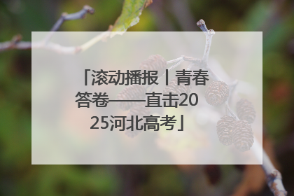 滚动播报丨青春答卷——直击2025河北高考