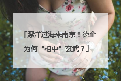 漂洋过海来南京！德企为何“相中”玄武？