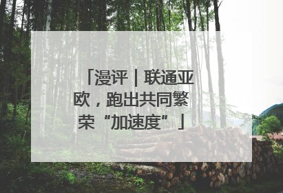 漫评｜联通亚欧，跑出共同繁荣“加速度”