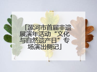 漯河市首届非遗展演年活动“文化与自然遗产日”专场演出侧记