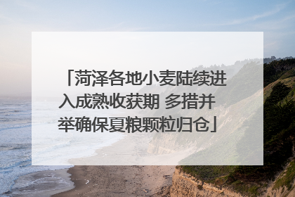菏泽各地小麦陆续进入成熟收获期 多措并举确保夏粮颗粒归仓