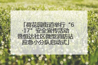 荷花园街道举行“6·17”安全宣传活动暨恒达社区微型消防站应急小分队启动式