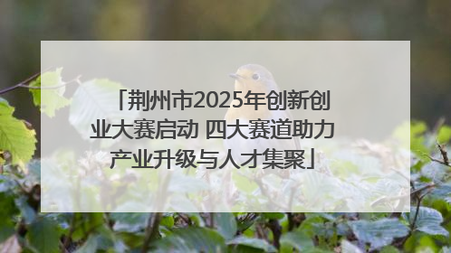 荆州市2025年创新创业大赛启动 四大赛道助力产业升级与人才集聚