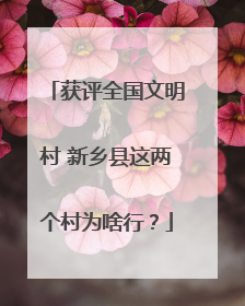 获评全国文明村 新乡县这两个村为啥行？