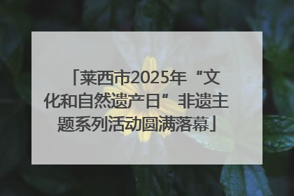 莱西市2025年“文化和自然遗产日”非遗主题系列活动圆满落幕