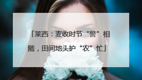 莱西：麦收时节“警”相随，田间地头护“农”忙