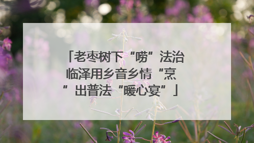 老枣树下“唠”法治 临泽用乡音乡情“烹”出普法“暖心宴”