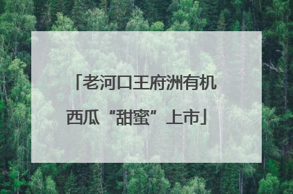 老河口王府洲有机西瓜“甜蜜”上市