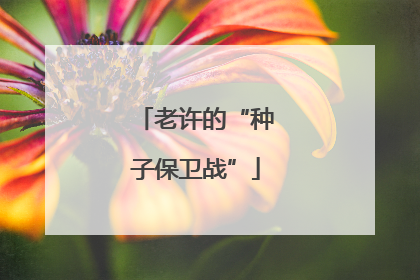 老许的“种子保卫战”