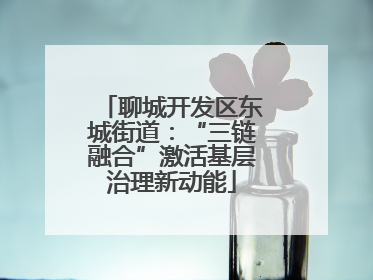 聊城开发区东城街道：“三链融合”激活基层治理新动能