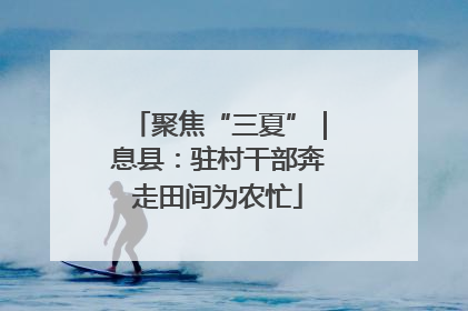 聚焦“三夏”｜息县：驻村干部奔走田间为农忙