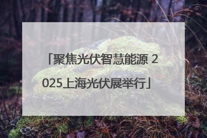 聚焦光伏智慧能源 2025上海光伏展举行