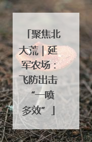 聚焦北大荒｜延军农场：飞防出击 “一喷多效”
