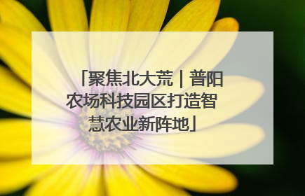 聚焦北大荒｜普阳农场科技园区打造智慧农业新阵地