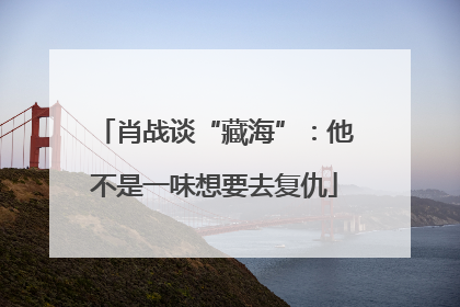 肖战谈“藏海”：他不是一味想要去复仇
