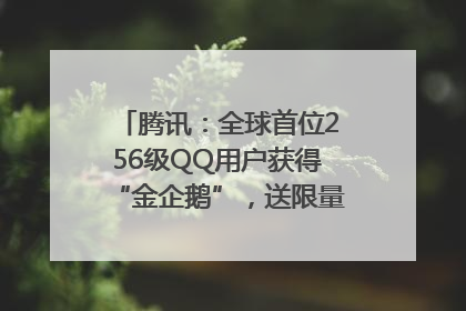 腾讯：全球首位256级QQ用户获得“金企鹅”，送限量版神秘惊喜等礼物