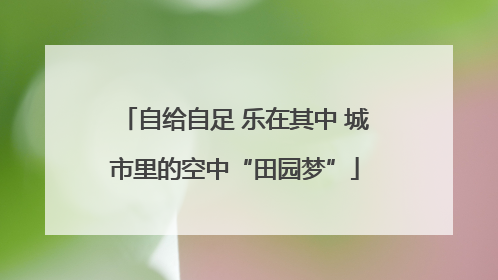 自给自足 乐在其中 城市里的空中“田园梦”