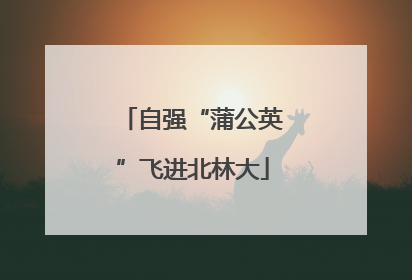 自强“蒲公英”飞进北林大