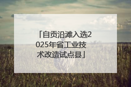 自贡沿滩入选2025年省工业技术改造试点县
