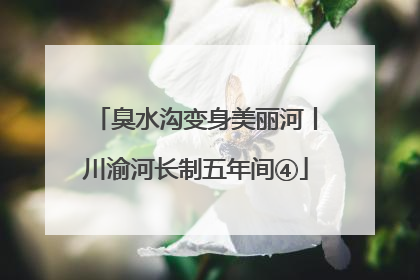 臭水沟变身美丽河丨川渝河长制五年间④