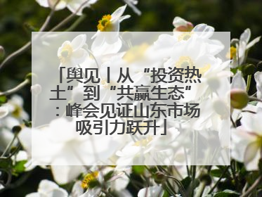 舆见丨从“投资热土”到“共赢生态”：峰会见证山东市场吸引力跃升