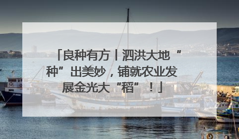 良种有方丨泗洪大地“种”出美妙，铺就农业发展金光大“稻”！