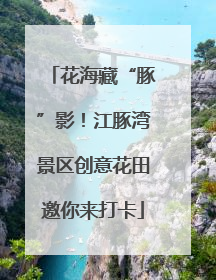 花海藏“豚”影！江豚湾景区创意花田邀你来打卡
