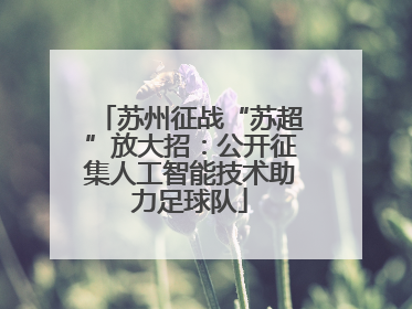 苏州征战“苏超”放大招：公开征集人工智能技术助力足球队