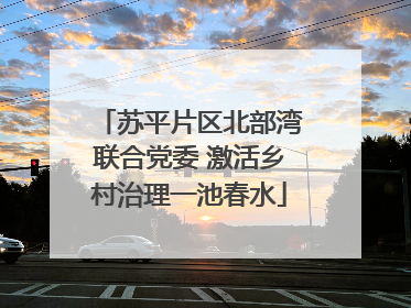 苏平片区北部湾联合党委 激活乡村治理一池春水