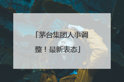 茅台集团人事调整！最新表态