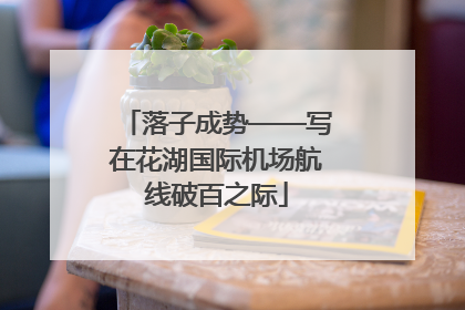 落子成势——写在花湖国际机场航线破百之际