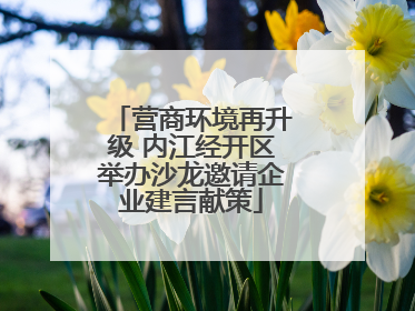 营商环境再升级 内江经开区举办沙龙邀请企业建言献策