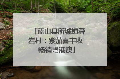 蓝山县所城镇舜岩村：紫茄喜丰收 畅销粤港澳