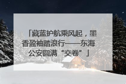 藏蓝护航乘风起，墨香盈袖踏浪行——东海公安圆满“交卷”