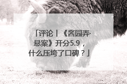评论丨《酱园弄·悬案》开分5.9，什么压垮了口碑？