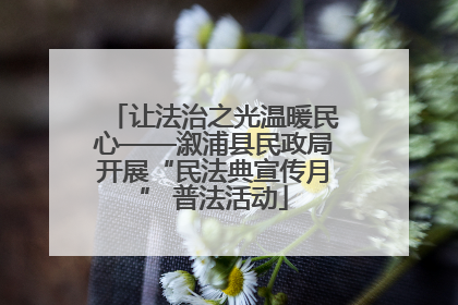 让法治之光温暖民心——溆浦县民政局开展“民法典宣传月” 普法活动